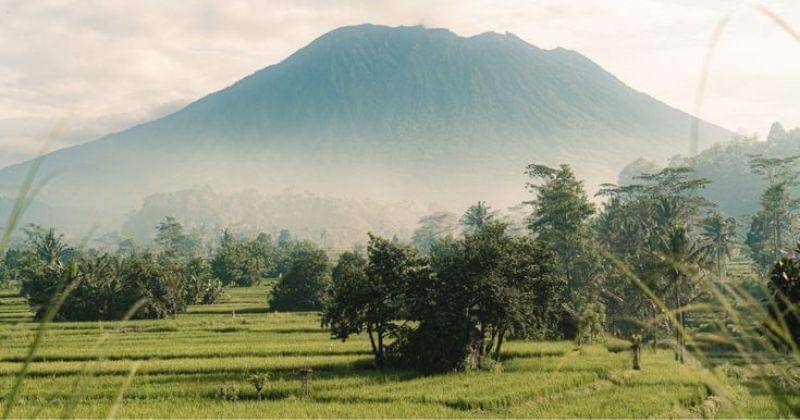 Pinterest.com/Samanvaya